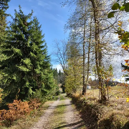 8 Hill Zlatar * Nova Varos